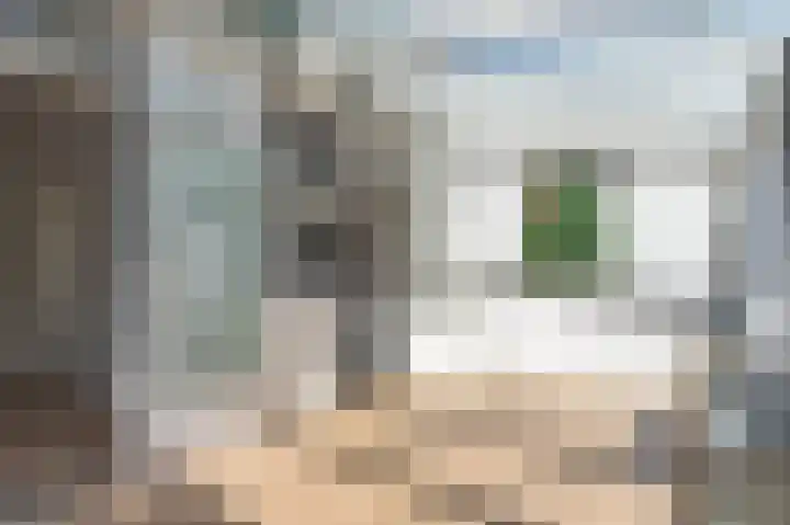 Ecrevissestraat 57 Beek thumbnail 12