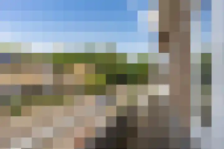 Ecrevissestraat 57 Beek thumbnail 17