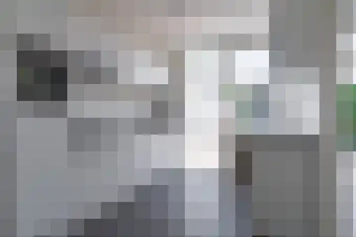 Ecrevissestraat 57 Beek thumbnail 8