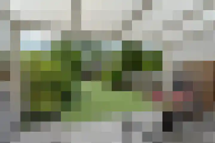 Ecrustraat 40 Almere thumbnail 41