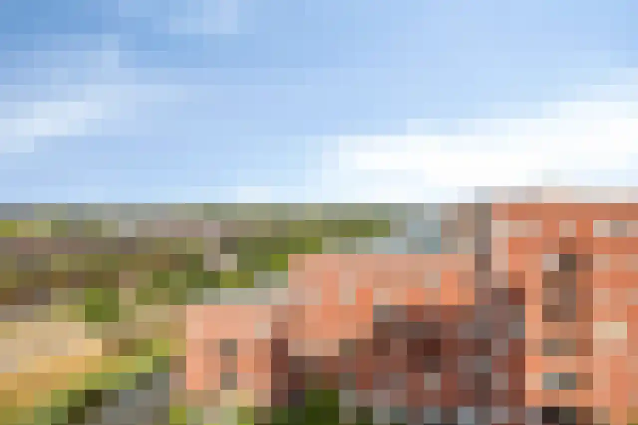 Ecuplein 27 Amsterdam thumbnail 25