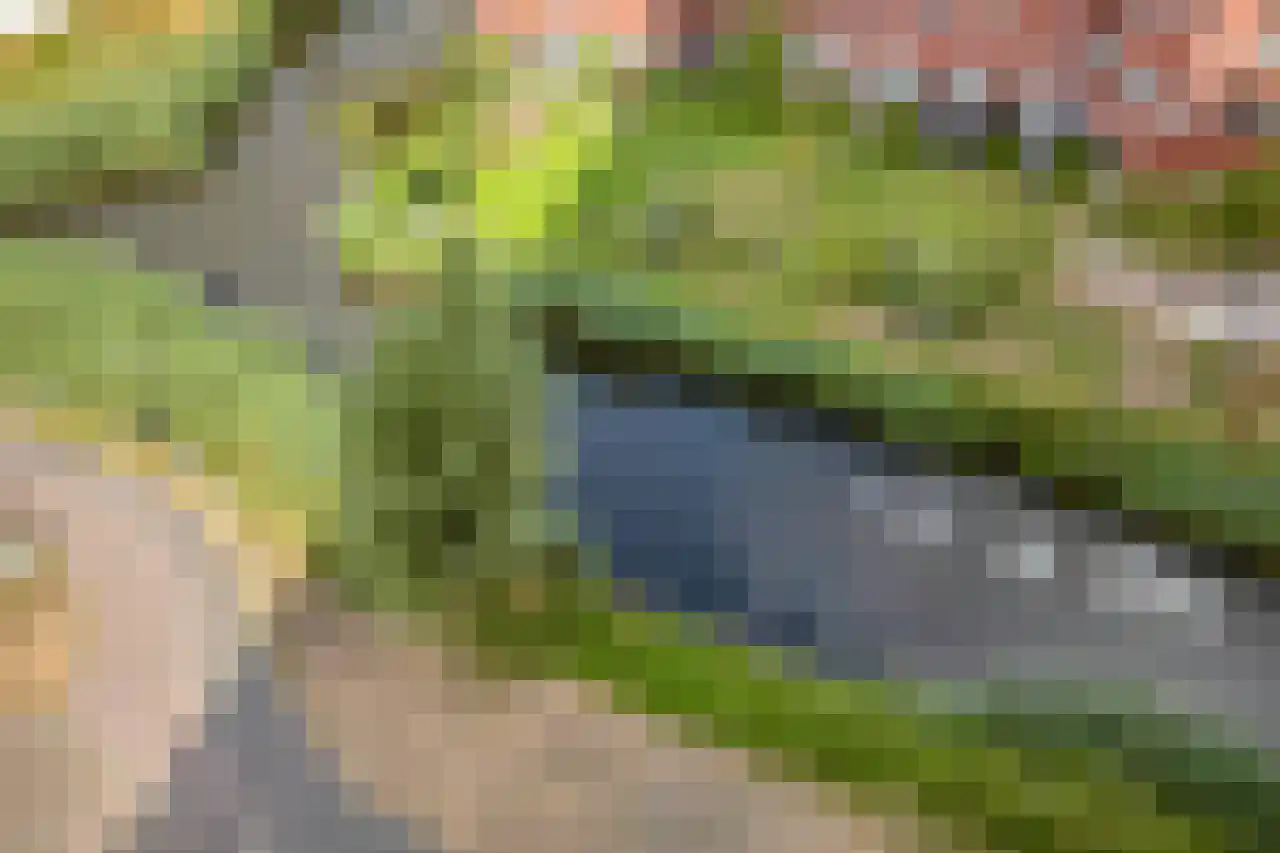 Ecuplein 27 Amsterdam thumbnail 26
