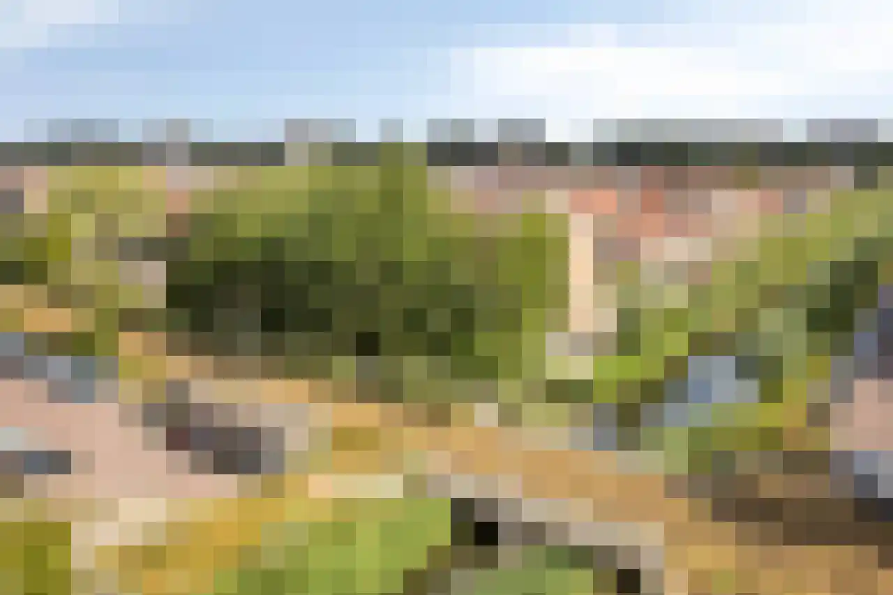 Ecuplein 27 Amsterdam thumbnail 27