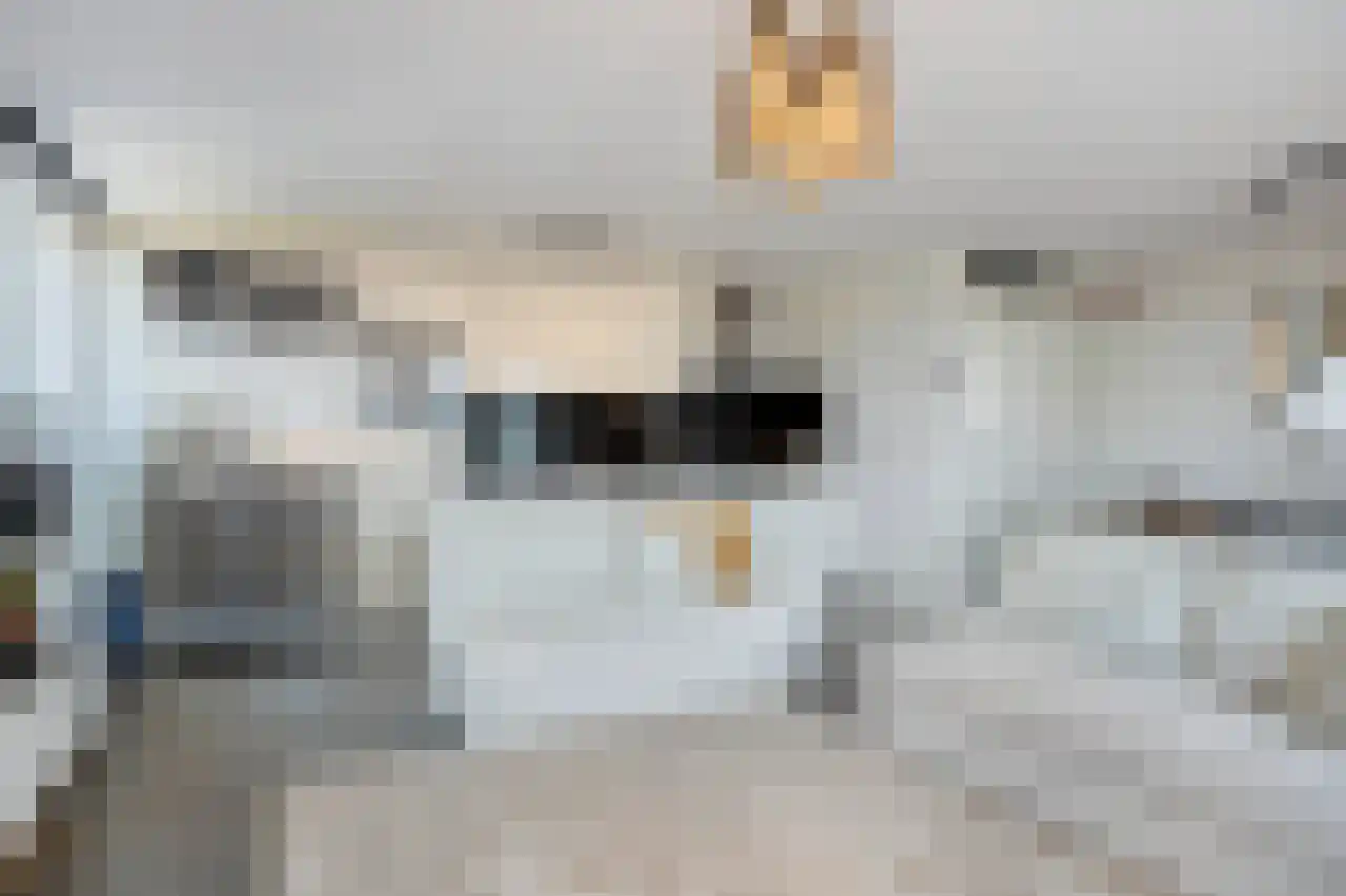 Ecuplein 27 Amsterdam thumbnail 4