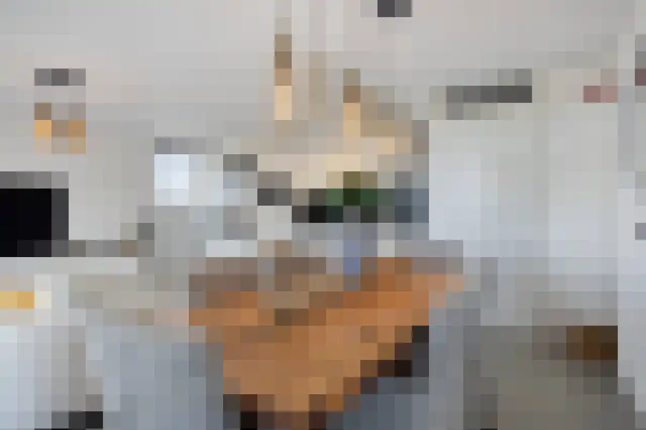 Ecuplein 27 Amsterdam thumbnail 6