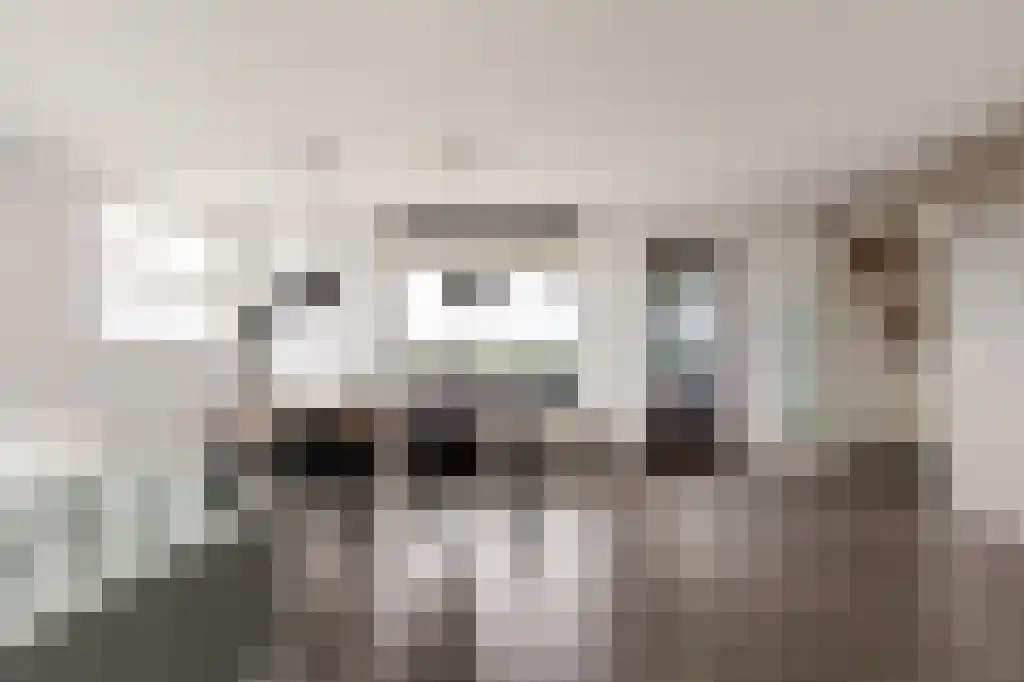 Ecuplein 29 Amsterdam thumbnail 6