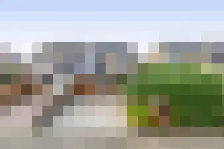 Ecuplein 39 Amsterdam thumbnail 18