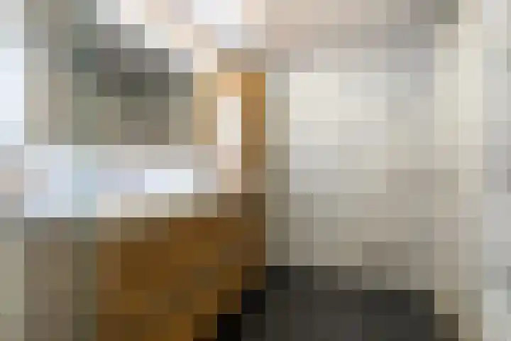 Ecuplein 39 Amsterdam thumbnail 24