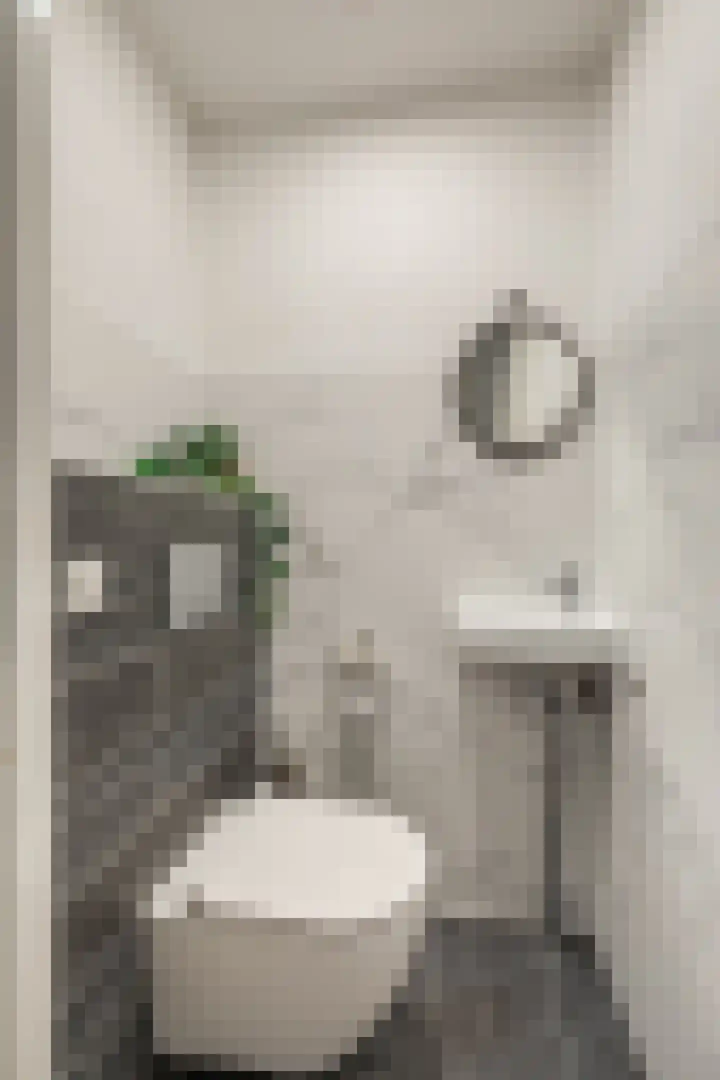 Ecuplein 39 Amsterdam thumbnail 25