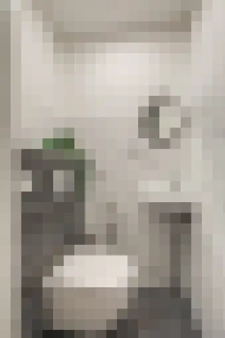 Ecuplein 39 Amsterdam thumbnail 25