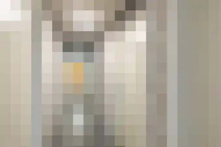 Ecuplein 39 Amsterdam thumbnail 27