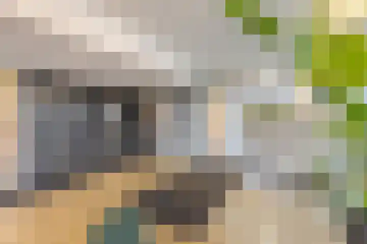 Ecuplein 39 Amsterdam thumbnail 28