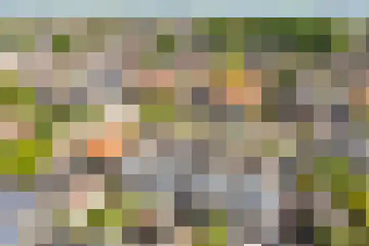 Ecuplein 39 Amsterdam thumbnail 41