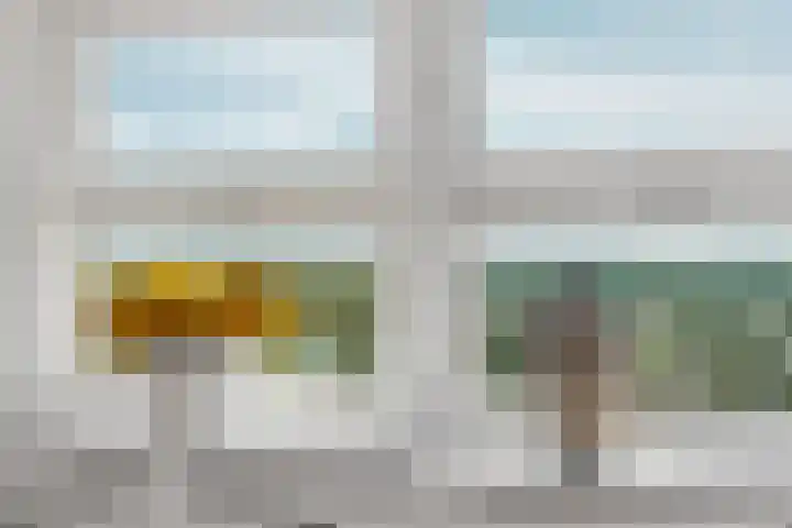 Ecuplein 65 Amsterdam thumbnail 13