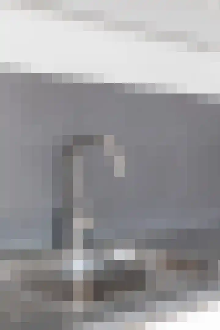 Ecuplein 65 Amsterdam thumbnail 17