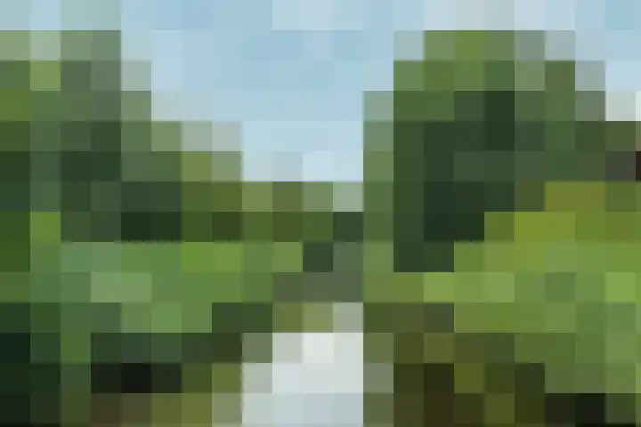 Ecuplein 65 Amsterdam thumbnail 51