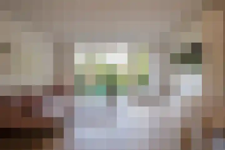 Ed Hoornikhof 12 Culemborg thumbnail 12