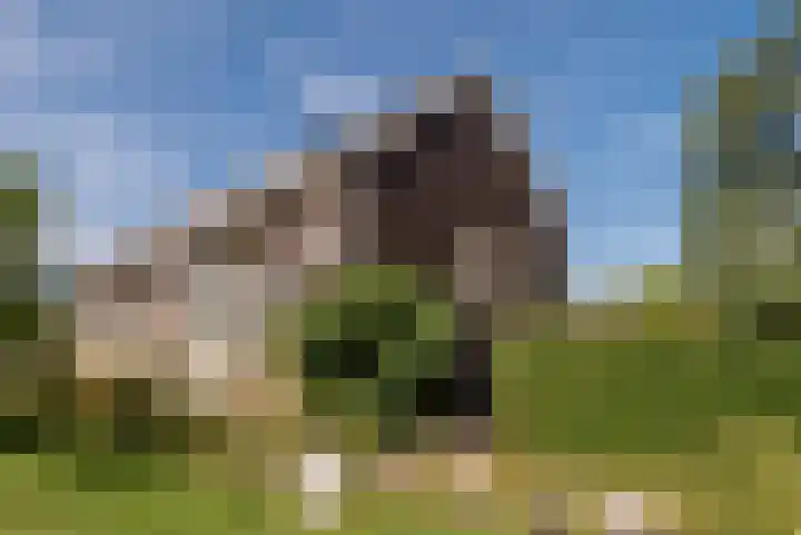 Ed Hoornikhof 12 Culemborg thumbnail 42