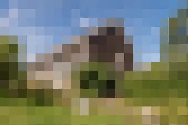 Ed Hoornikhof 12 Culemborg thumbnail 5