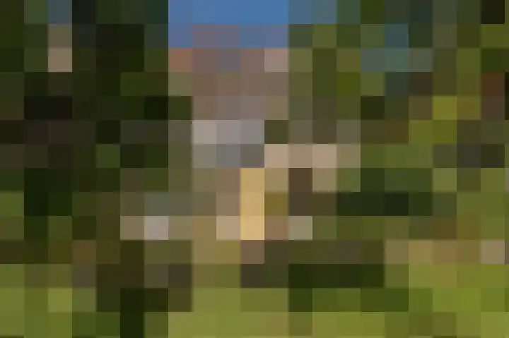 Ed Hoornikhof 12 Culemborg thumbnail 6