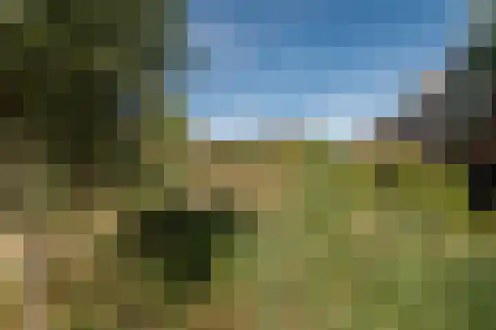 Ed Hoornikhof 12 Culemborg thumbnail 8