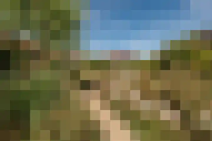 Ed Hoornikhof 12 Culemborg thumbnail 9