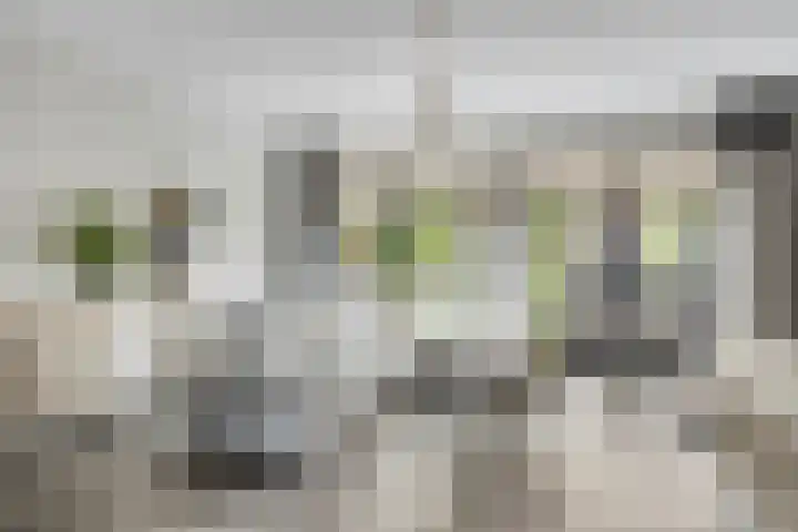 Ed Hoornikpad 12 Middelharnis thumbnail 10