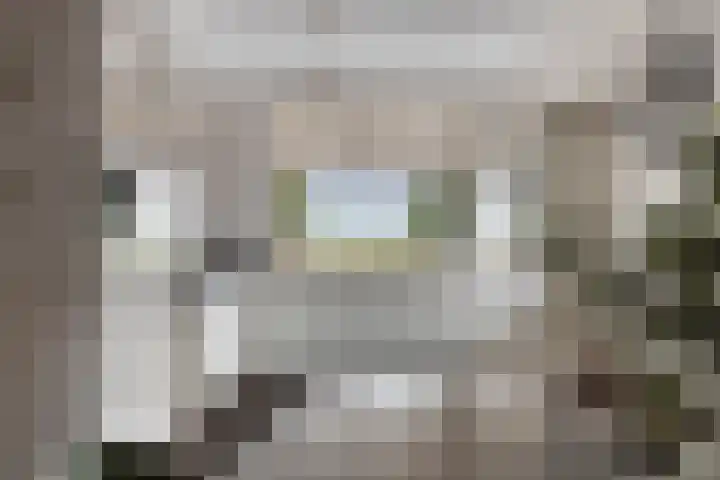 Ed Hoornikpad 12 Middelharnis thumbnail 12