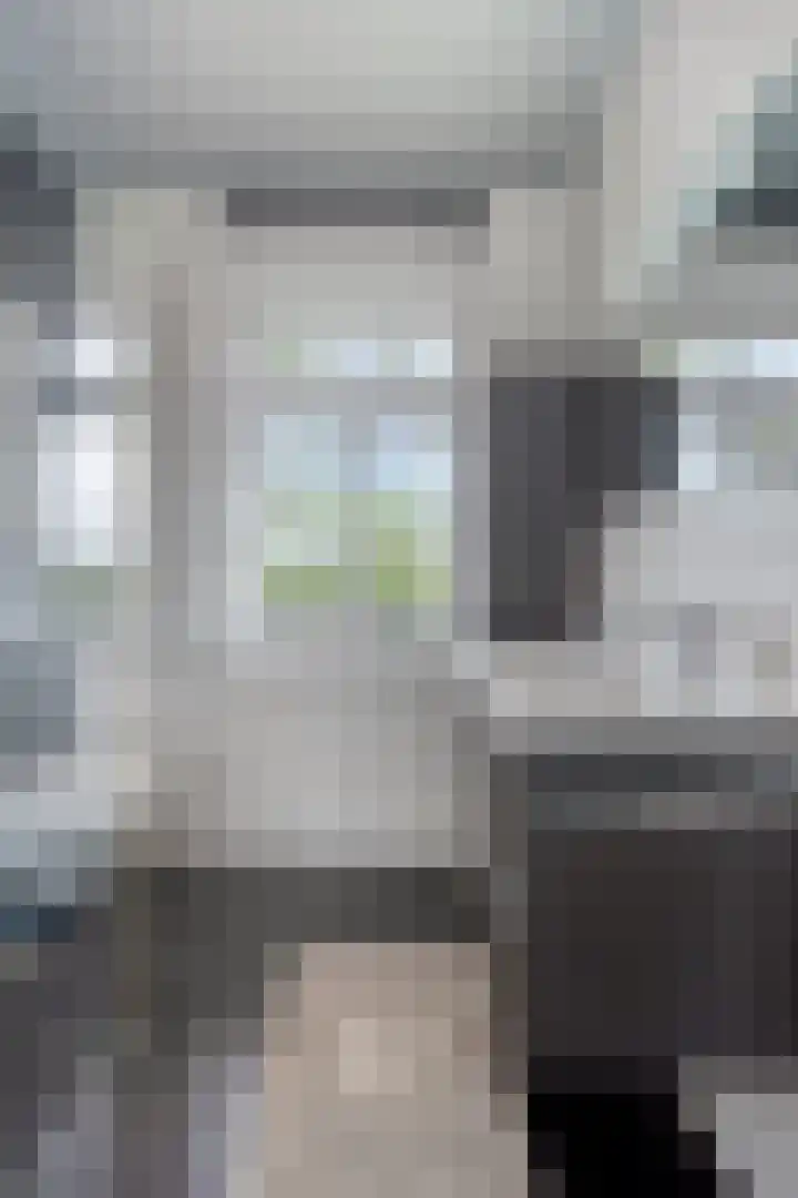 Ed Hoornikpad 12 Middelharnis thumbnail 16