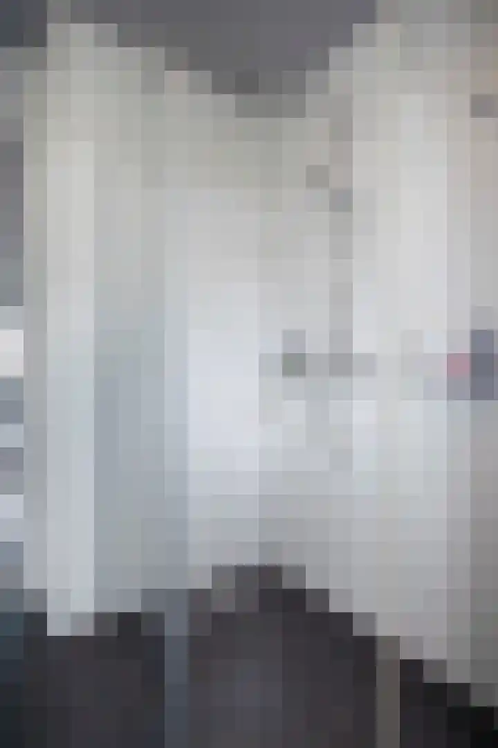 Ed Hoornikpad 12 Middelharnis thumbnail 17