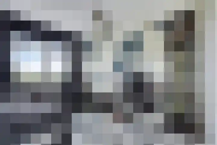 Ed Hoornikpad 12 Middelharnis thumbnail 18