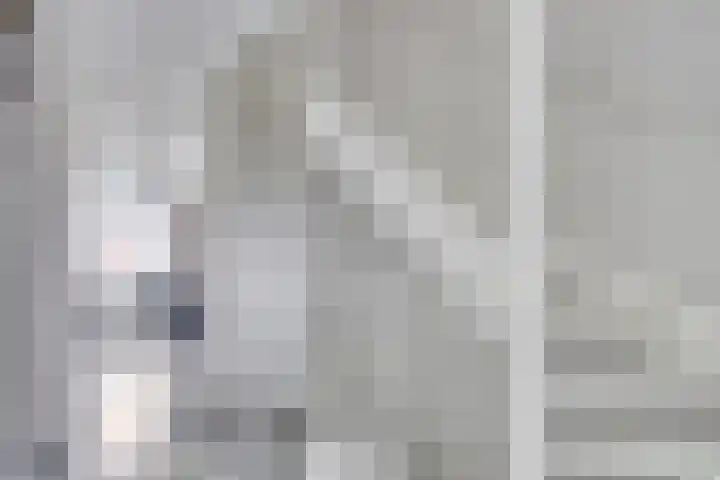 Ed Hoornikpad 12 Middelharnis thumbnail 20