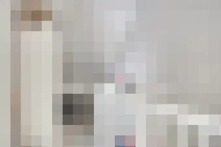 Ed Hoornikpad 12 Middelharnis thumbnail 21
