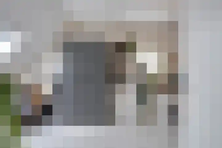 Ed Hoornikpad 12 Middelharnis thumbnail 22