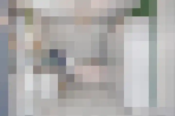 Ed Hoornikpad 12 Middelharnis thumbnail 23