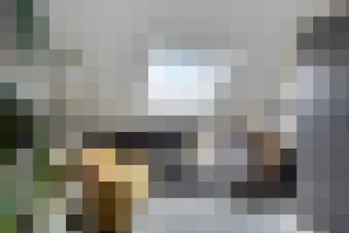 Ed Hoornikpad 12 Middelharnis thumbnail 24