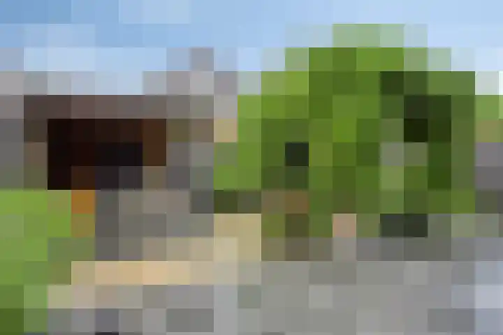 Ed Hoornikpad 12 Middelharnis thumbnail 26