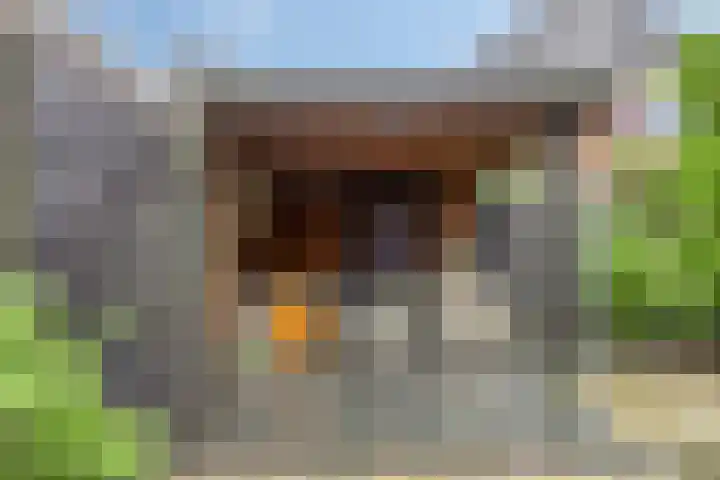 Ed Hoornikpad 12 Middelharnis thumbnail 27