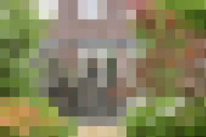 Ed Hoornikpad 12 Middelharnis thumbnail 29