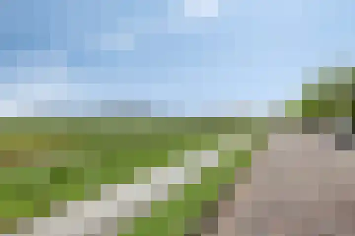 Ed Hoornikpad 12 Middelharnis thumbnail 30