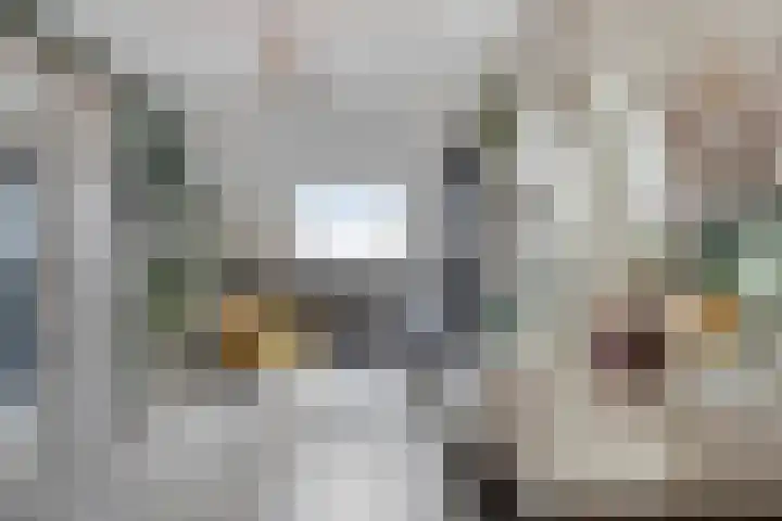 Ed Hoornikpad 12 Middelharnis thumbnail 4
