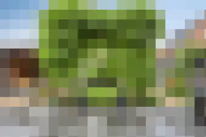 Ed Hoornikpad 12 Middelharnis thumbnail 5