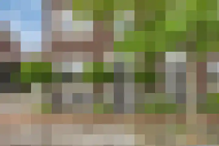 Ed Hoornikpad 12 Middelharnis thumbnail 7