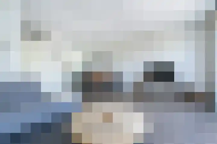 Ed Hoornikpad 4 Middelharnis thumbnail 11