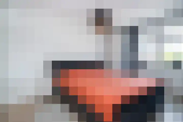 Ed Hoornikpad 4 Middelharnis thumbnail 16