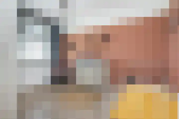 Ed Hoornikpad 4 Middelharnis thumbnail 18