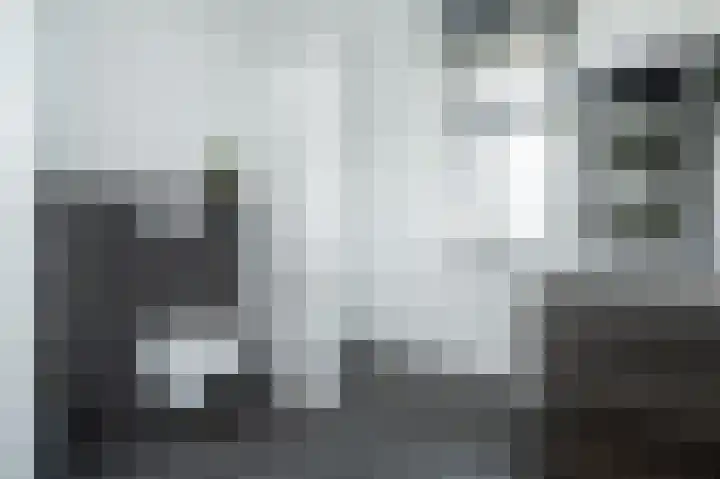 Ed Hoornikpad 4 Middelharnis thumbnail 19