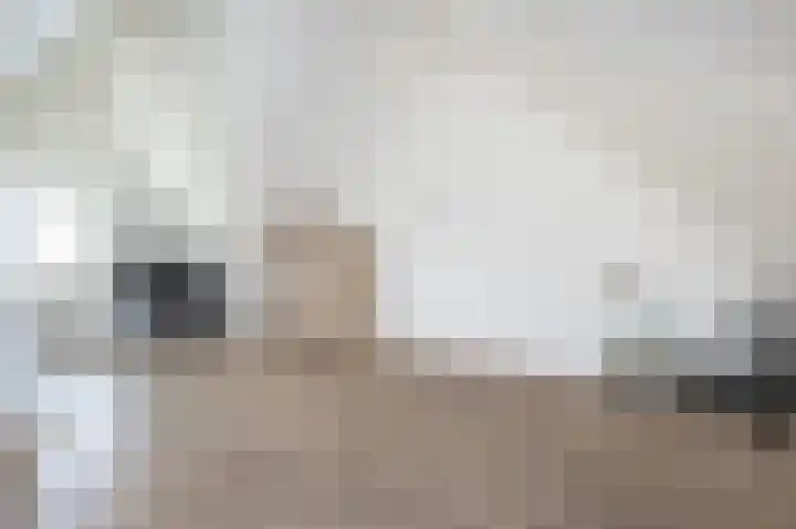 Ed Hoornikpad 4 Middelharnis thumbnail 23