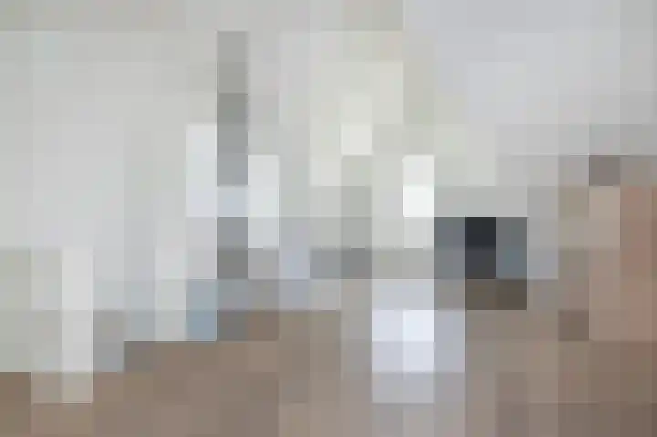 Ed Hoornikpad 4 Middelharnis thumbnail 24