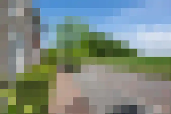 Ed Hoornikpad 4 Middelharnis thumbnail 29